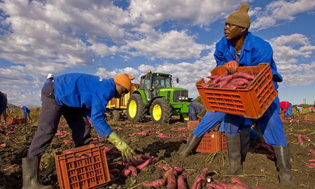 Agriculture Farming2.jpg