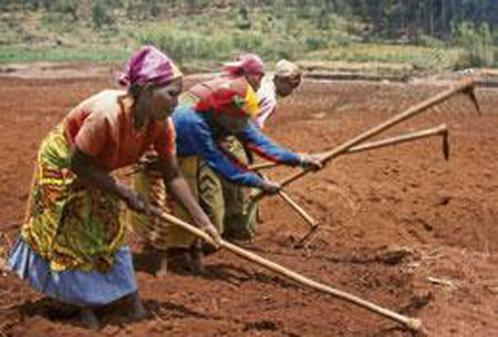 Agriculture traditional farming.jpg